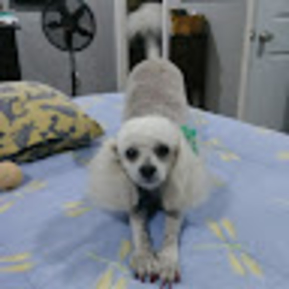 Meet your Posher, Ikea - Picture 1 of 1